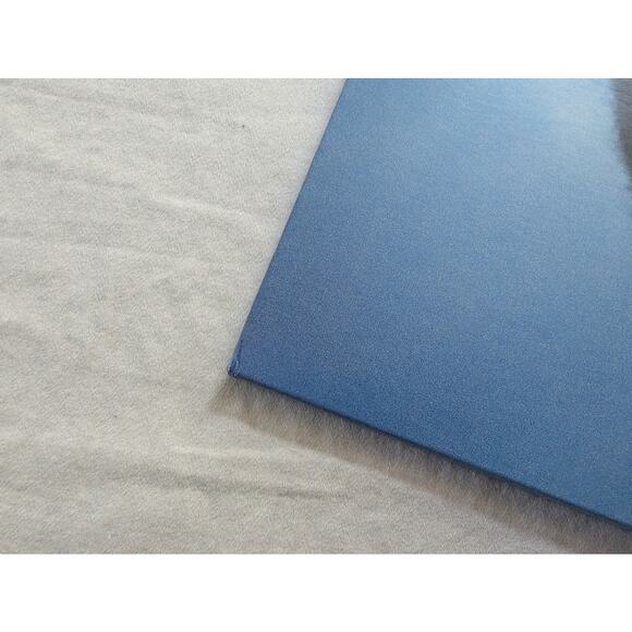 Magdalena Bay Imaginal Disk Vinyl Blood Records Limited /4000 New Unplayed - Picture 14 of 14